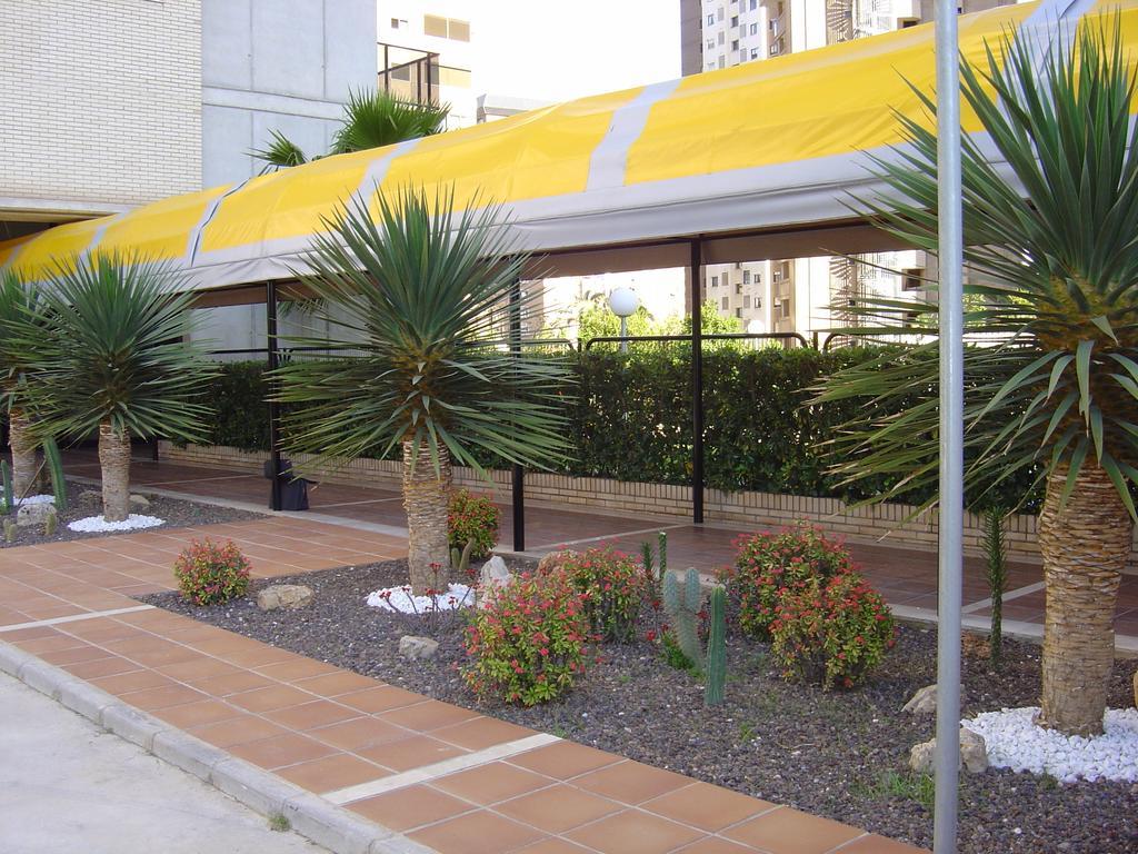 Apartamentos Torre Ipanema Benidorm Bagian luar foto